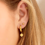 Crotch Earrings with clover - Gold